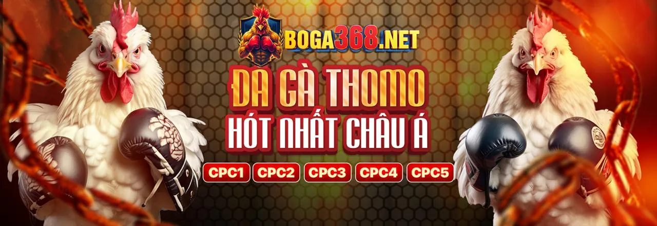 Đá gà trực tuyến 99kl App